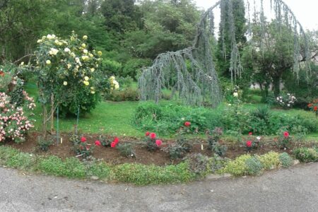 Jardin en Bouillot (1)