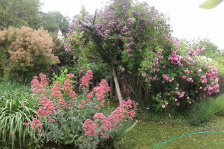 Jardin en Bouillot (6)